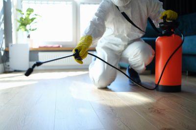 Hobo Spider Extermination in New Braunfels, TX