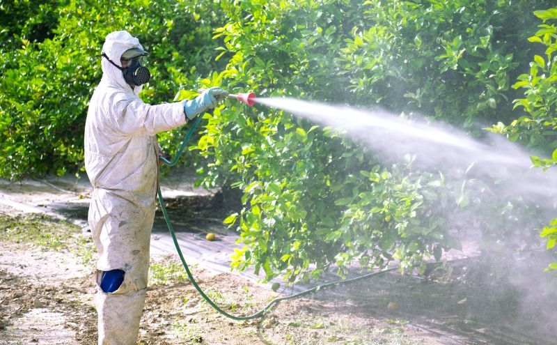 Pest Fumigation Service in Clarksville, TN