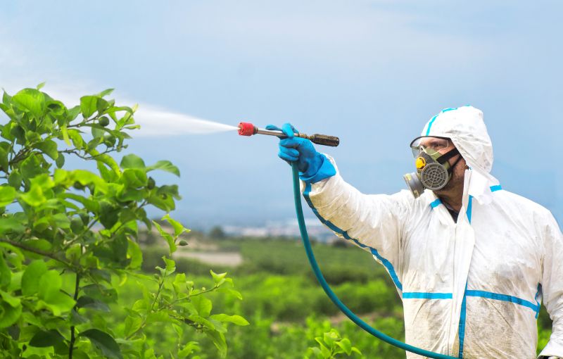 Roach Fumigation in San Jose, CA