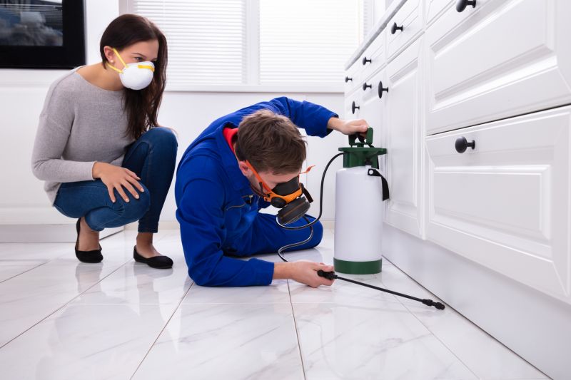 Mud Dauber Extermination in Katy, TX