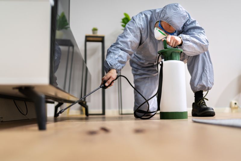 Roach Fumigation in Myrtle Beach, SC