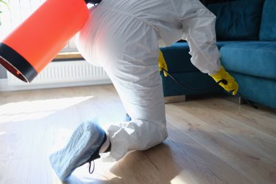 Spider Fumigation Service in Franklin, TN