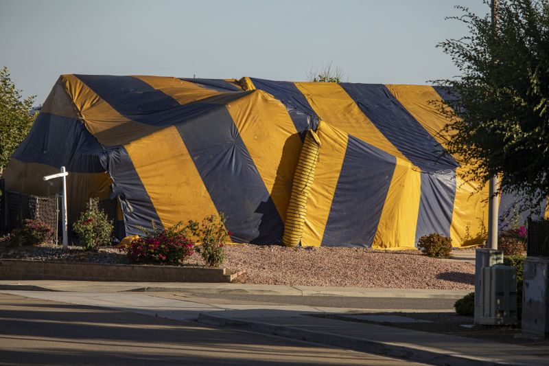 Termite Tenting in Clarksville, TN